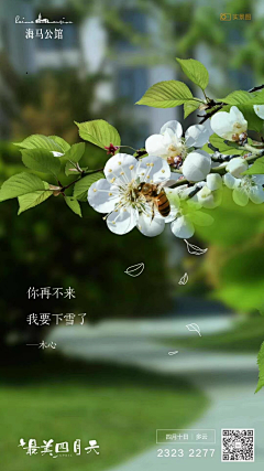 丁丁历险记11采集到节气