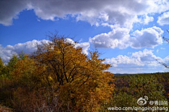 名曰竹晓贝采集到驿路风景