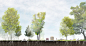 Stevens-Coolidge Place Masterplan | Mikyoung Kim Design - Our work brings health and well being to the global environment and local neighborhoods, creating bespoke experiences that improve civic health by engaging the natural world.