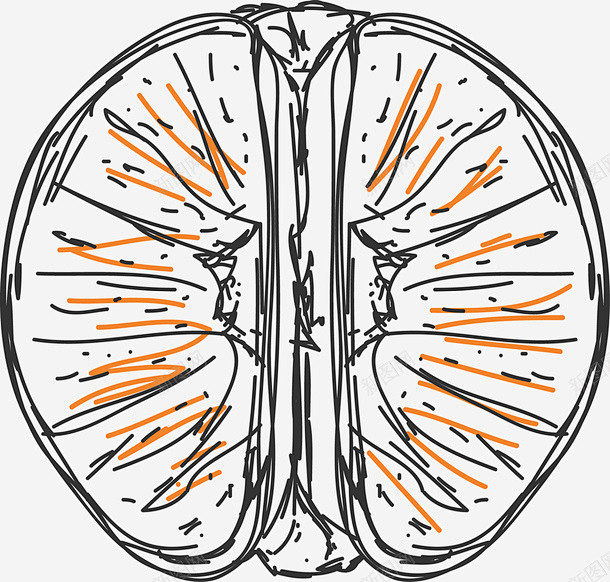 手绘半个柚子 免费下载 页面网页 平面电...