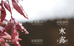 红叶桌面壁纸  - 源文件下载【酷图网】桌面壁纸,背景,节气,1920,JPG,美图,桌面背景,红叶,