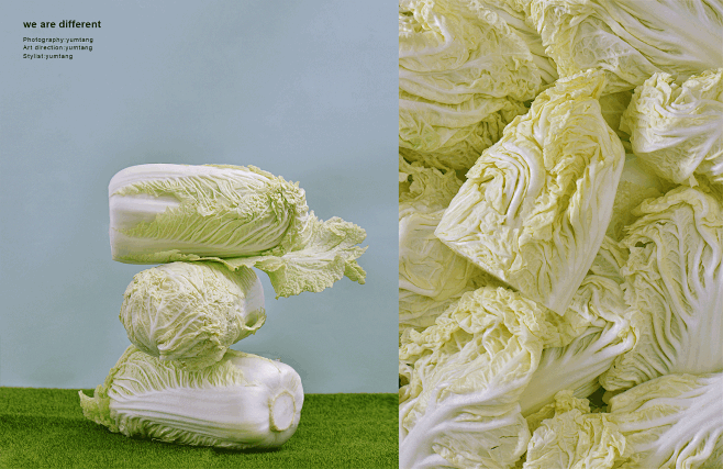 Chinese cabbage on B...