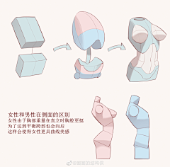 北大西洋漂泊信天翁采集到人体