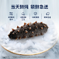 官栈 鲜炖即食海参 大连底播淡干海参干货辽刺参 海鲜礼盒 【2周套餐】官栈9S鲜炖海参360g（14只）【图片 价格 品牌 报价】-京东