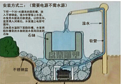 米兰咪咕采集到苗木-地铺