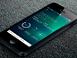 Financial Manager  #tech# #financial# #iOS7#