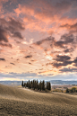 Val d'Orcia : A pittoric series of Val d'Orcia landscapes where the golden camps become the subjects of the project.