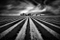 Flanders fields by Marc Apers on 500px