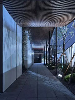 孙丹锋采集到示范区