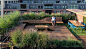 自然温馨的屋顶花园平台 | Wood Flow : 特享受的屋顶花园设计