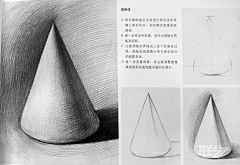 花瓣慧慧采集到静物结构