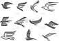 翅膀,鸟类,计算机图标,老鹰,鹰,身份,时髦的,商务,图像,飞