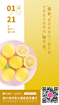每日优鲜missfresh的微博_微博