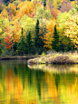 de-preciated:

Yellow Autumn (by Stanley Zimny (Thank You for 11 Million views))

Taken on January 19, 2013