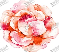 水彩手绘花卉花朵植物 【酷图网】手绘植物叶子,绿叶,叶子,叶脉,枝叶,植物,绿色,矢量素材,自然,草本植物,矢量树叶,树叶,茶叶,自然景物,绿叶子,纹理,绿树叶,绿色叶子,手绘水彩画,手绘花朵,手绘叶子,手绘水墨植物