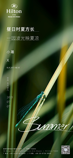 Cassiee采集到海报