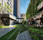 THE LINE系列高端公寓Asoke Ratchada / Ixora Design Limited – mooool木藕设计网