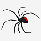 手绘黑寡妇蜘蛛免抠素材_新图网 https://ixintu.com 动物插画 手绘 手绘动物 爬行动物 蜘蛛 黑寡妇