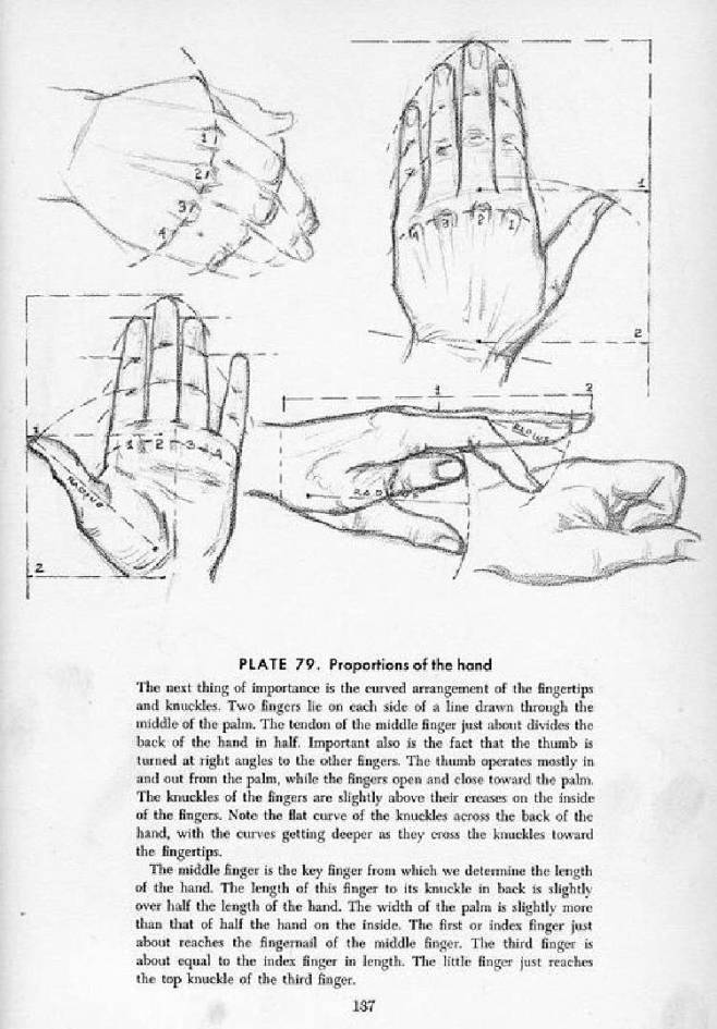 Andrew Loomis - Draw...