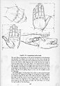 Andrew Loomis - Drawing the Head and Hands0124