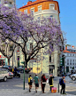 葡萄牙里斯本的夏日街头