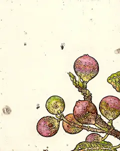 山本挙志的插画 yamamoto takashi - 灵感日报 : 山本挙志（Takashi Yamamoto）来自日本埼玉县（Saitama）。在百度可以搜到很多叫Takashi Yamamoto名字的人，但能画出如此风格插画的也许只有我们这里介绍的这位Takashi Yamamoto了……