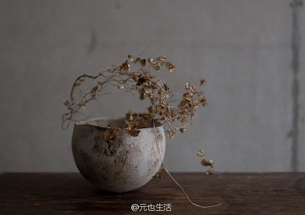 物尽其用，自在物华；明心净气，心有莲台。...