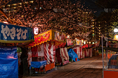 大大大芒果大大大采集到建筑场景