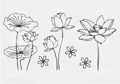 手绘荷花  - 源文件下载【酷图网】花纹线稿,荷花,插画,花之物语,花艺,花朵,花瓣,插花艺术,园艺,园林,花,花卉,玫瑰,月季,简笔画,漫画,线描,线稿,矢量玫瑰花,矢量玫瑰,矢量花朵,矢量花,剪影,玫瑰花剪影,花朵剪影,印花,植物,镂空花纹,镂空玫瑰,矢量花纹,花纹,镂空雕刻,盆栽,花朵简笔画,简笔花,黑白画,线条花朵,线条花纹