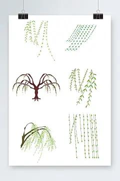 春天柳树柳叶垂柳矢量插画元素