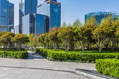 空的,城市天际线,砖,背景,室内地面,办公室,天空,外立面,水平画幅,无人