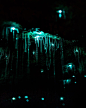 img-1611294028902e857a3c78d5518ec6109868f8741bc37