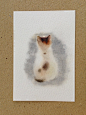 水彩小画——猫，64k。毛茸茸的背影，用湿画法体现很合适呢