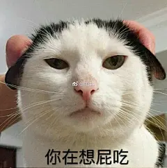 萌萌 发一波萌萌的表情包
没有电脑登录改不了水印位置
要无水印图的评论或者私我哟 ​​​​