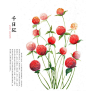 手绘大波花