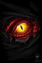 Dragon's Eye by amorphisss.deviantart.com on @DeviantArt