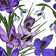 番红花属,雪花莲,四方连续纹样,华丽的,纺织品,浪漫,壁纸,植物群,花,排列