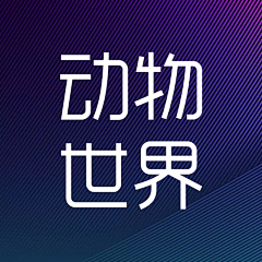 北斗牛仔采集到动物