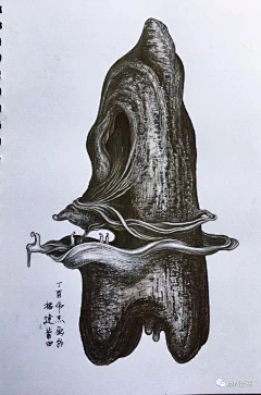 0d5PqfFR采集到玉雕