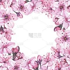 水彩手绘樱花樱花插画圈框边框