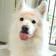 Maxbaibaibai