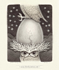 Nocturnal