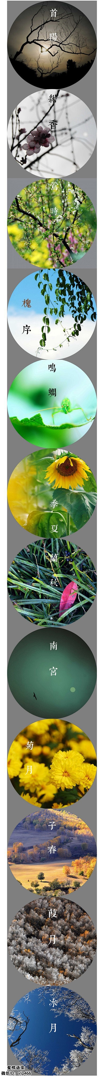 一月首阳，二月绀香，三月莺时，四月槐序，...