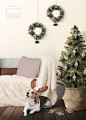 毛毯抱枕 狗狗圣诞树 圣诞圆环 霓虹 圣诞海报设计PSD ti324a8203