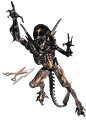 Alien Resurrection by SigResource