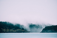 韩木椿采集到景