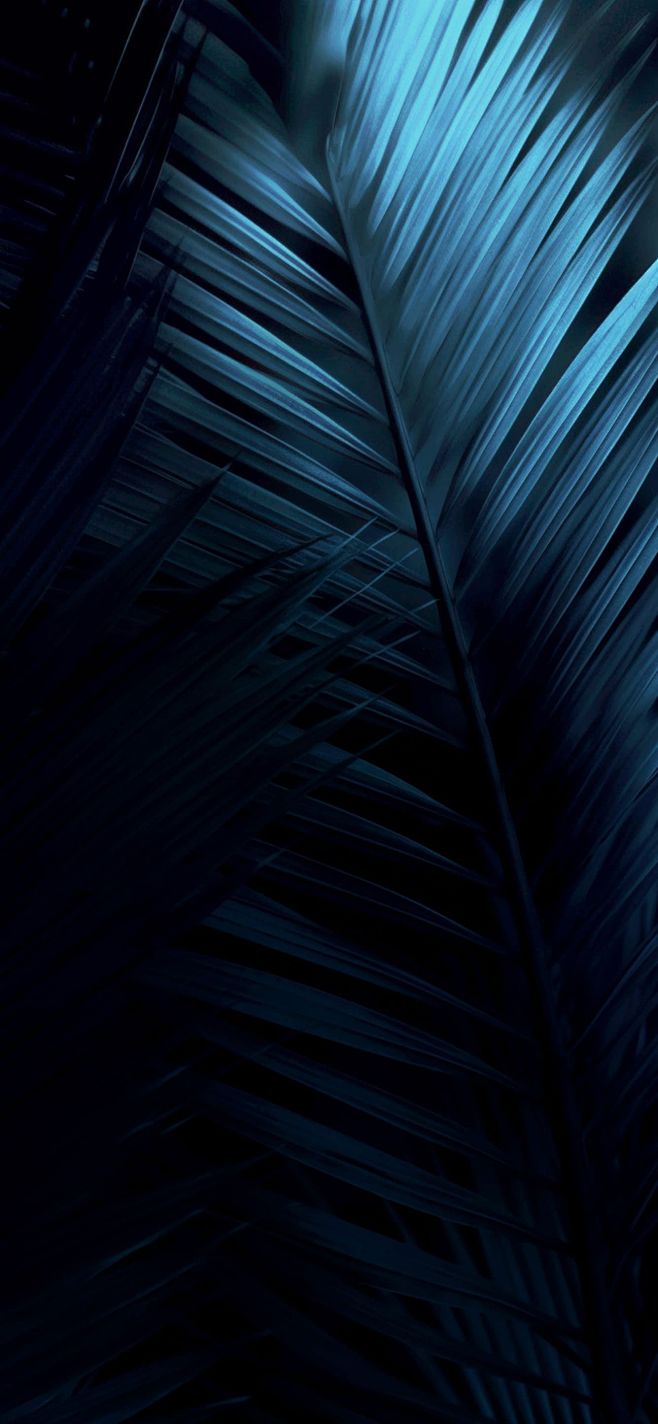 iPhone Wallpapers