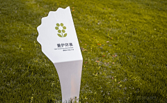 L带泪的鱼采集到树牌