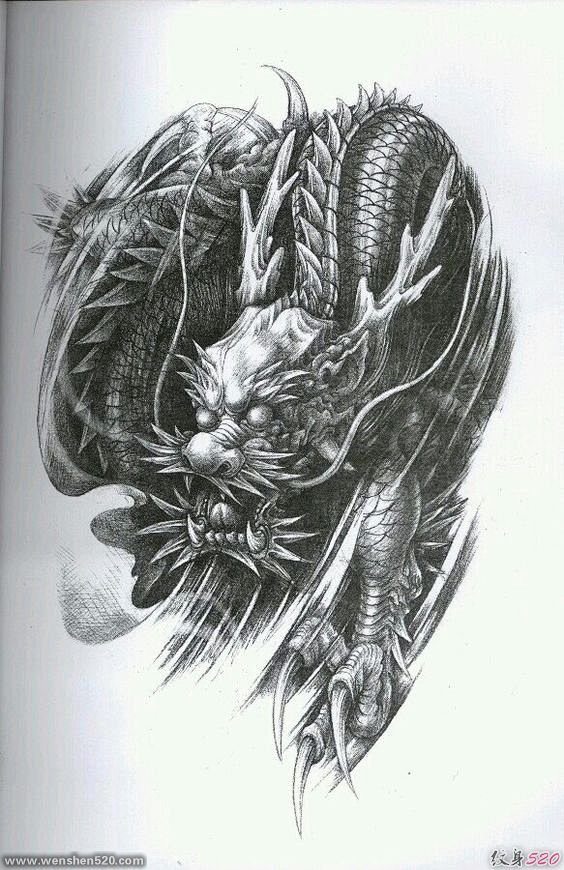 威猛的龙纹身图片手稿素材图6