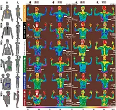 茶道经：复旦教授教你轻松辨茶、健康喝茶！|养生|李辉|现代_网易订阅